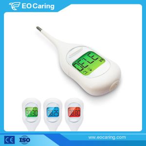 Digital Contact Thermometer